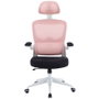 Woxter Silla Gaming Ergo Rosa
